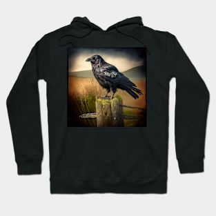 Crow #002 Hoodie